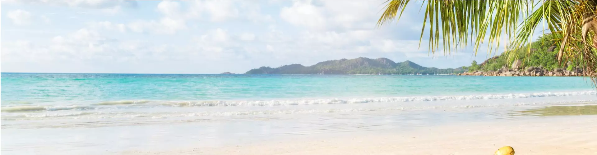 ¡50% de descuento en el 2do al 5to pasajero con Terrawind! viaja seguro Aquí